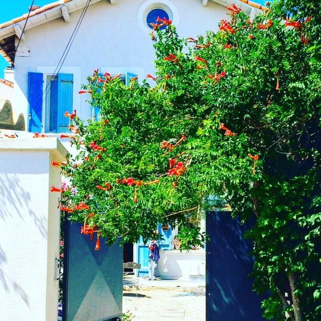 Maison d'hôtes Le Volet Bleu Marseille