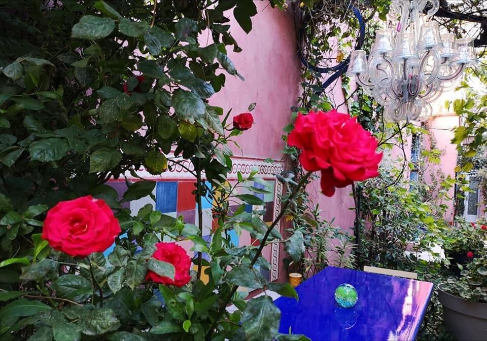 Bnb Jardin Vieux Port Panier Marseilles