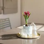 Maison De Ville Roucas Blanc