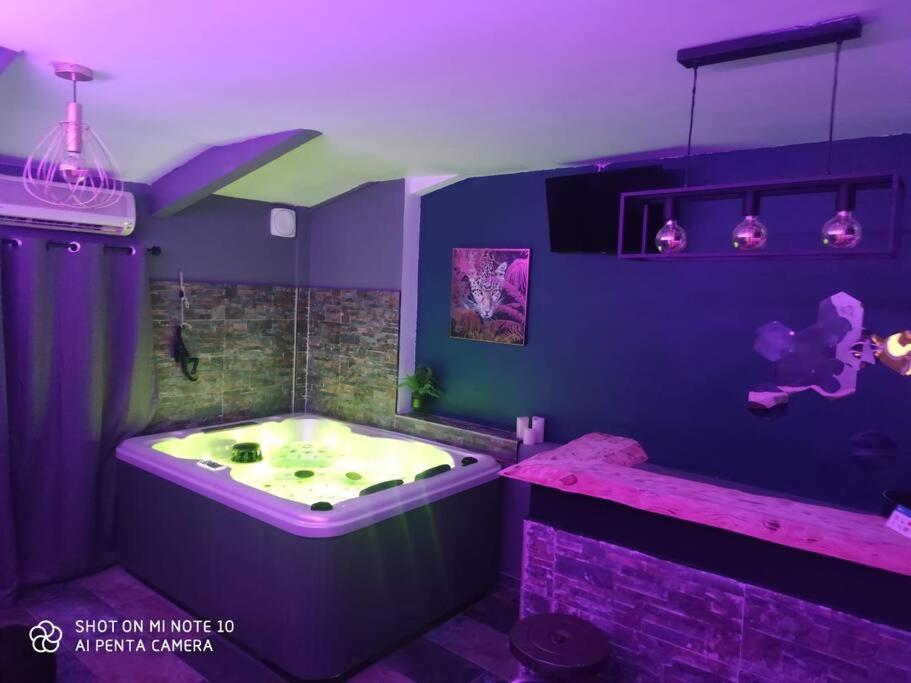 Apartment Suite Avec Jacuzzi 