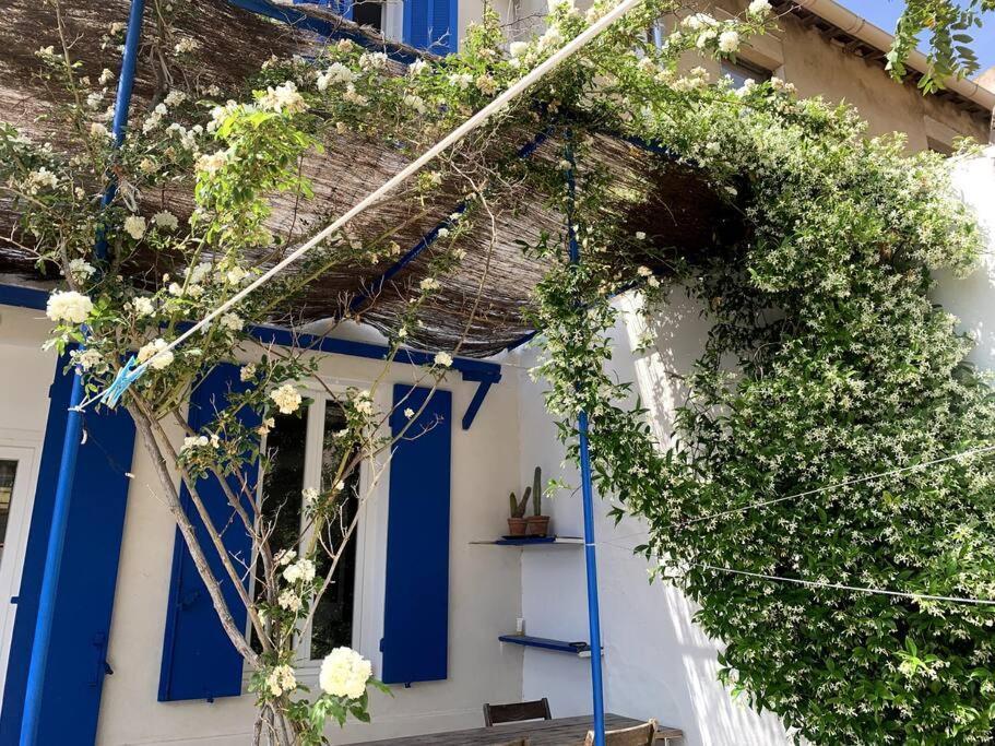 Villa En Bord De A Malmousque Marseilles