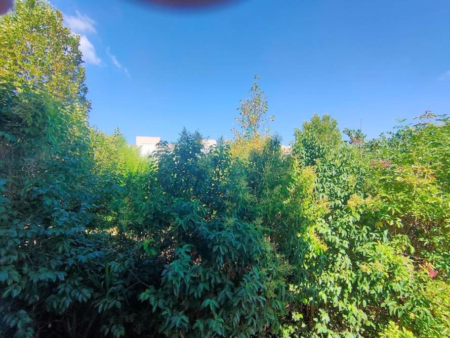 Au Pied Des Calanques, Nature, Plages A 6min, Parking, Bus Direct, Ideal Famille * Marseilles