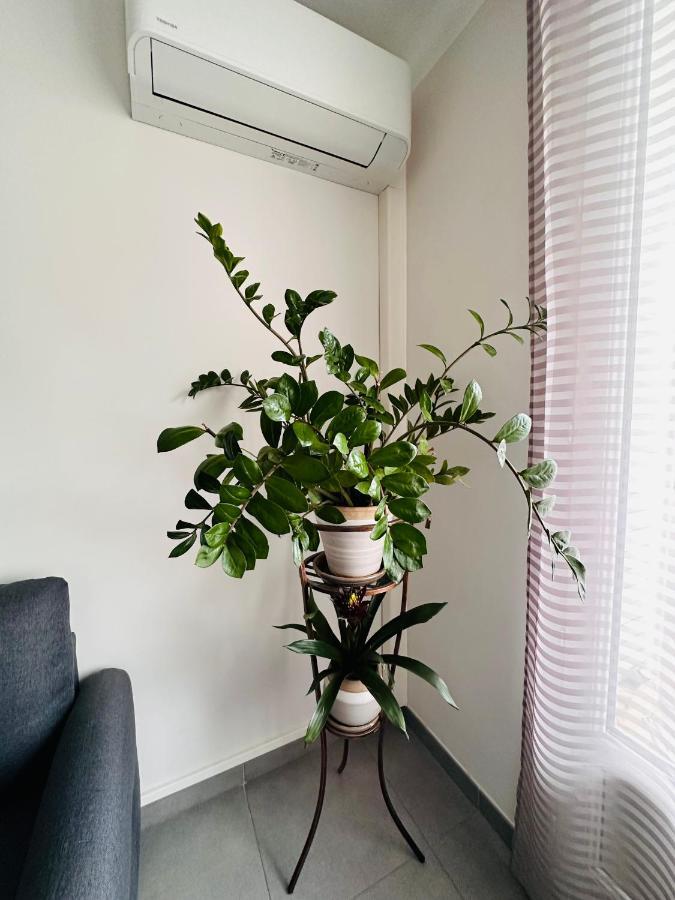 Le Soulier De Notre Dame Apartment Marseilles