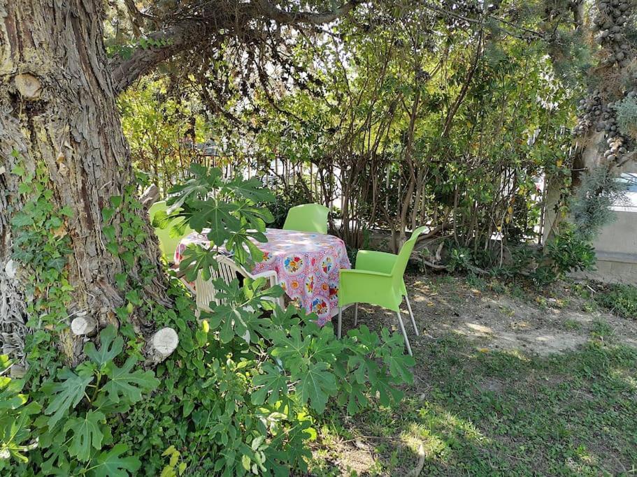 Calme Grand Jardin Bord De Mer. Parking *