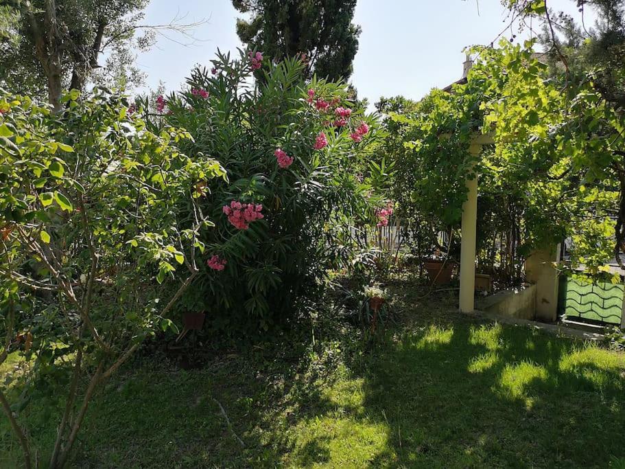 Calme Grand Jardin Bord De Mer. Parking Villa