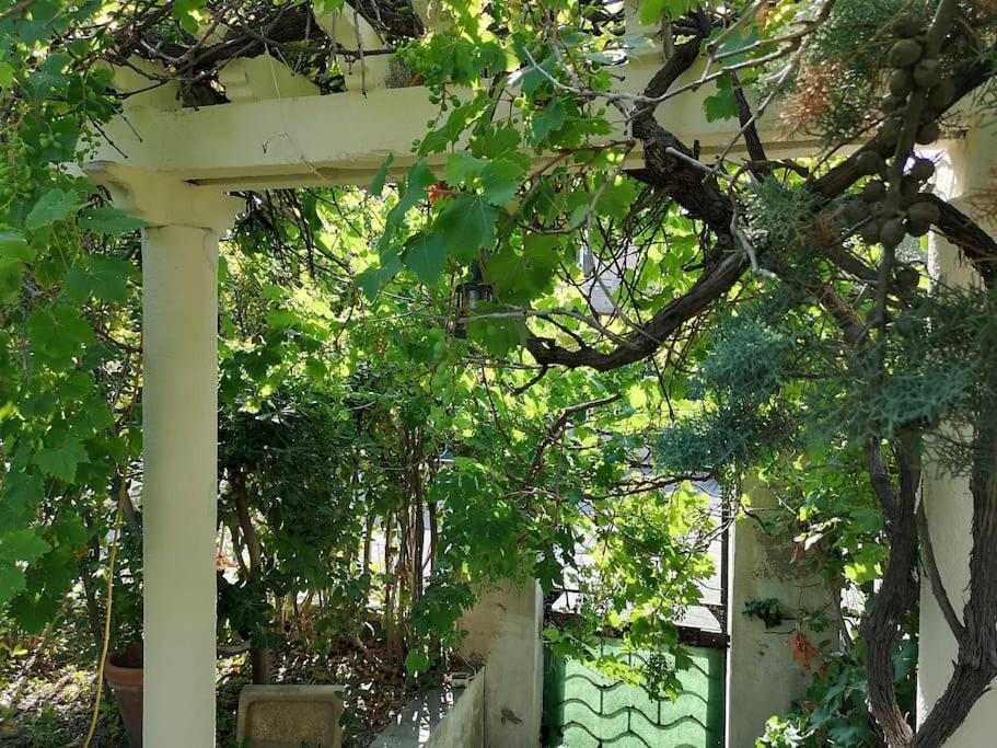 Calme Grand Jardin Bord De Mer. Parking Villa