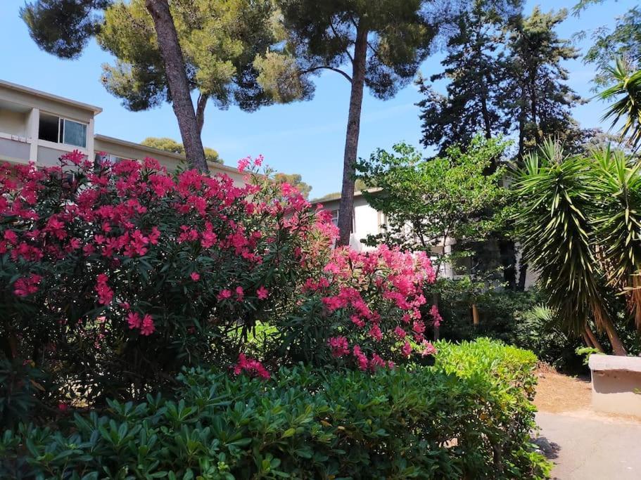 Cigalou Sous Les Pins Apartment