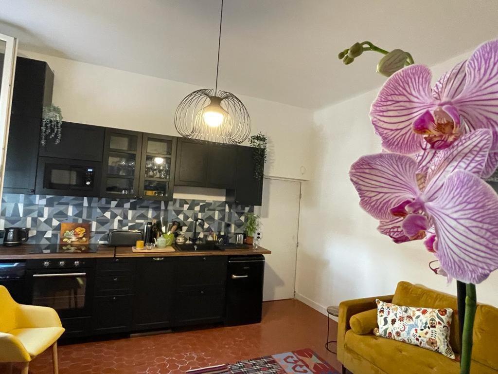 Joli Au Coeur De Appartement Marseille