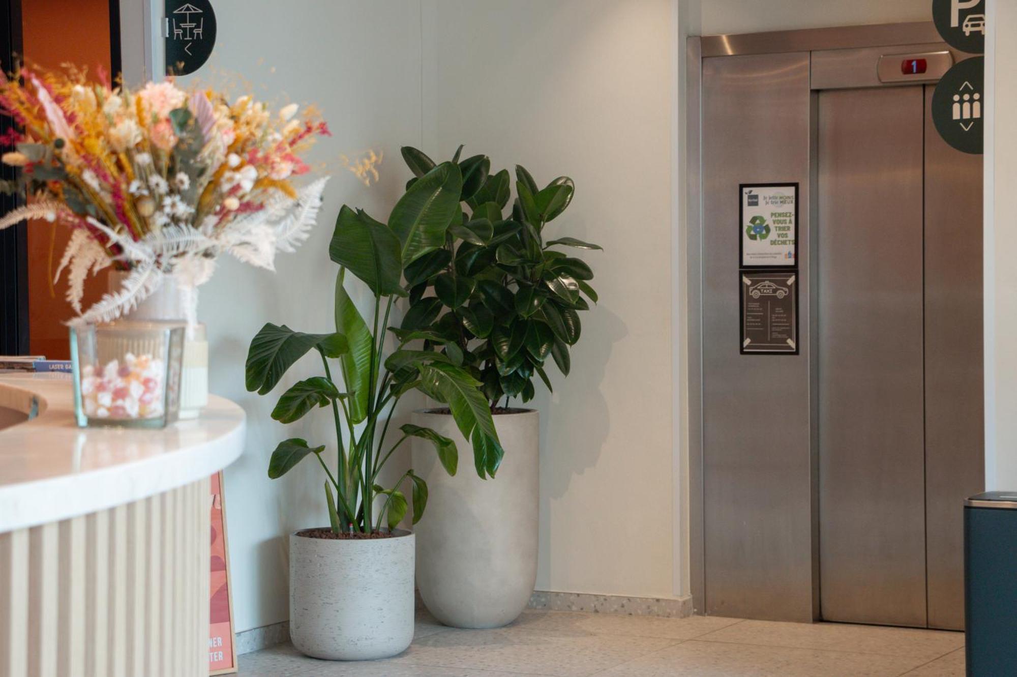 Hotel Ibis Styles Marseille Palais Des Congres Velodrome Marseilles