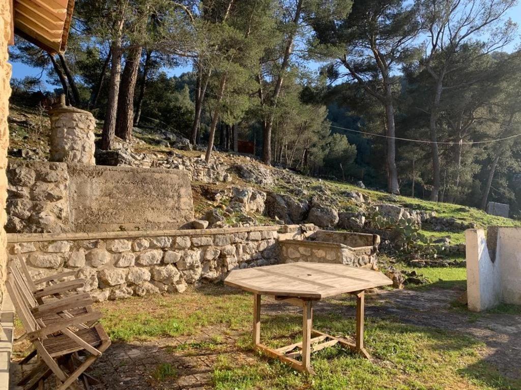 Hébergement de vacances Atypical Forest House With Jacuzzi