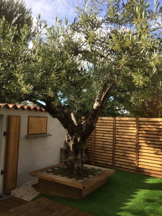 Aux Delices De L'olivier Bed & Breakfast *