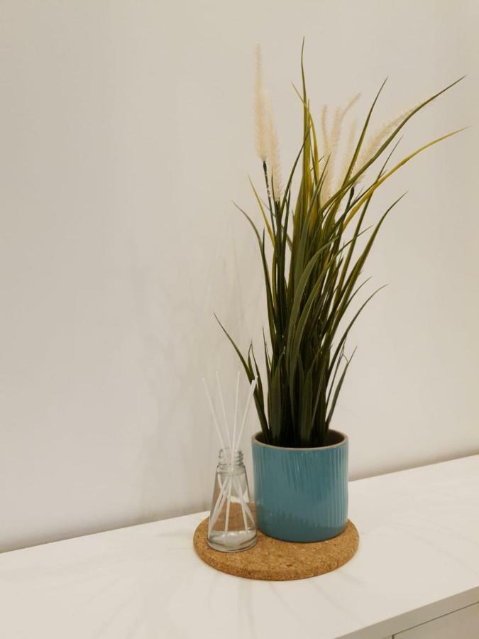 Loft Luxe Réformé Appartement Marseille