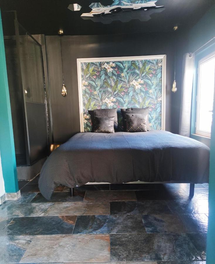 Apartment Suite Avec Jacuzzi 