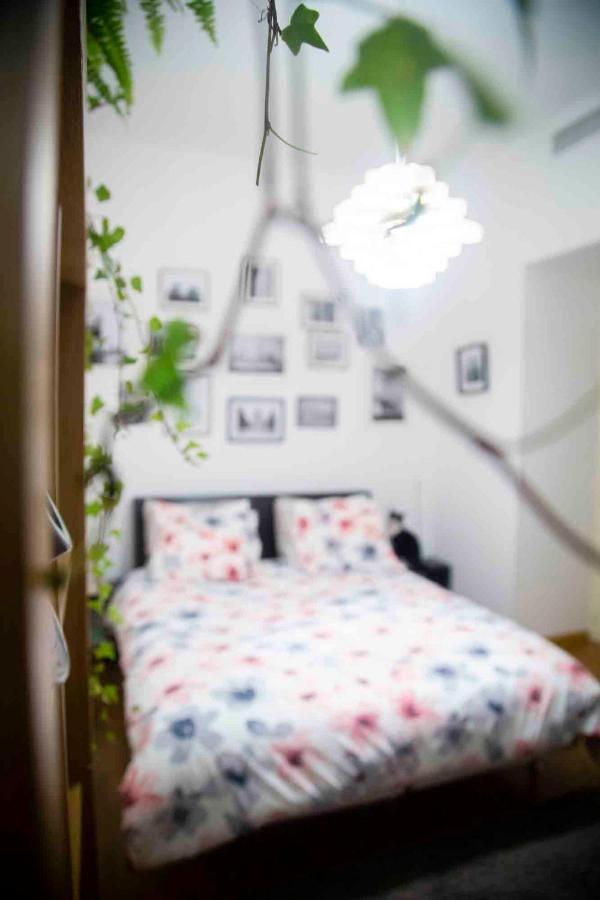 Homestay Fred's Guest Room, Vieuxport, Climatise, Friendly