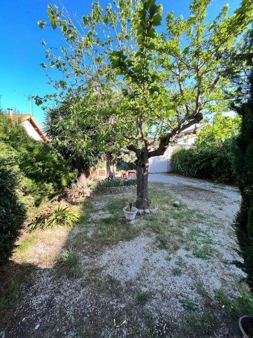 Agreable Maison Provencale Avec Jardin