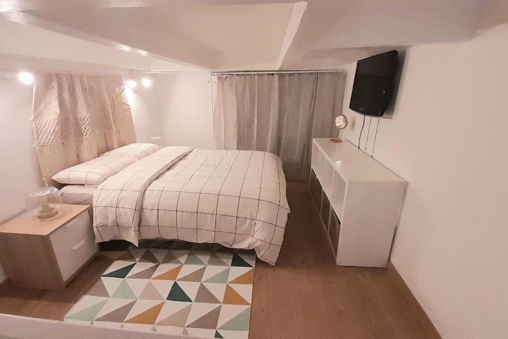 Jolie Duplex Quai De La Joliette Appartement *