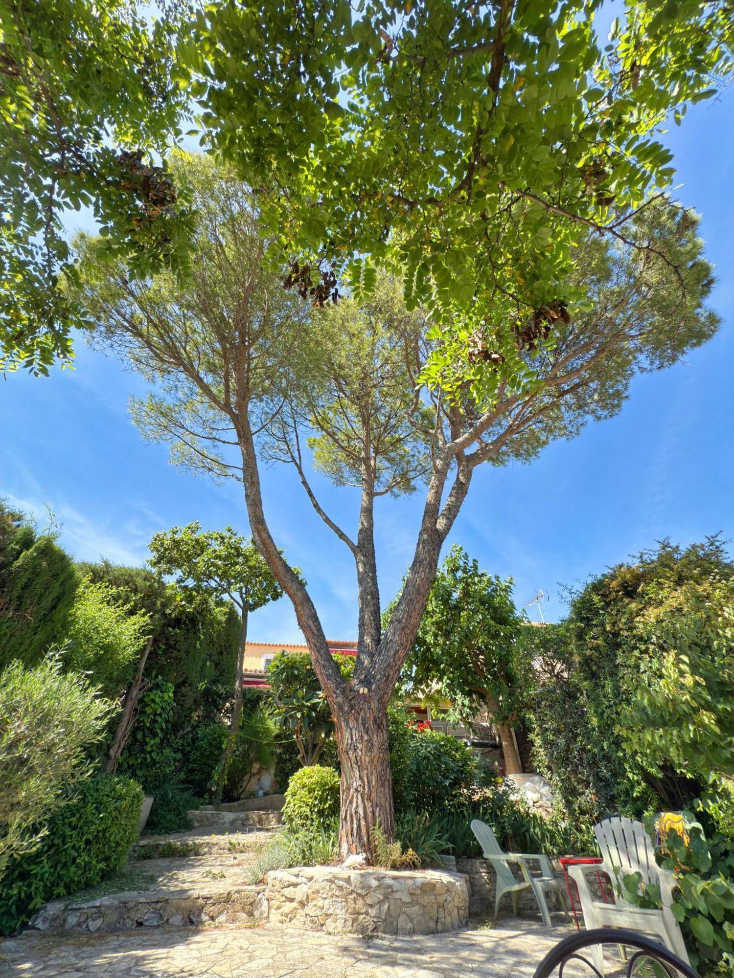 Maison Au Calme Avec Jardin Villa