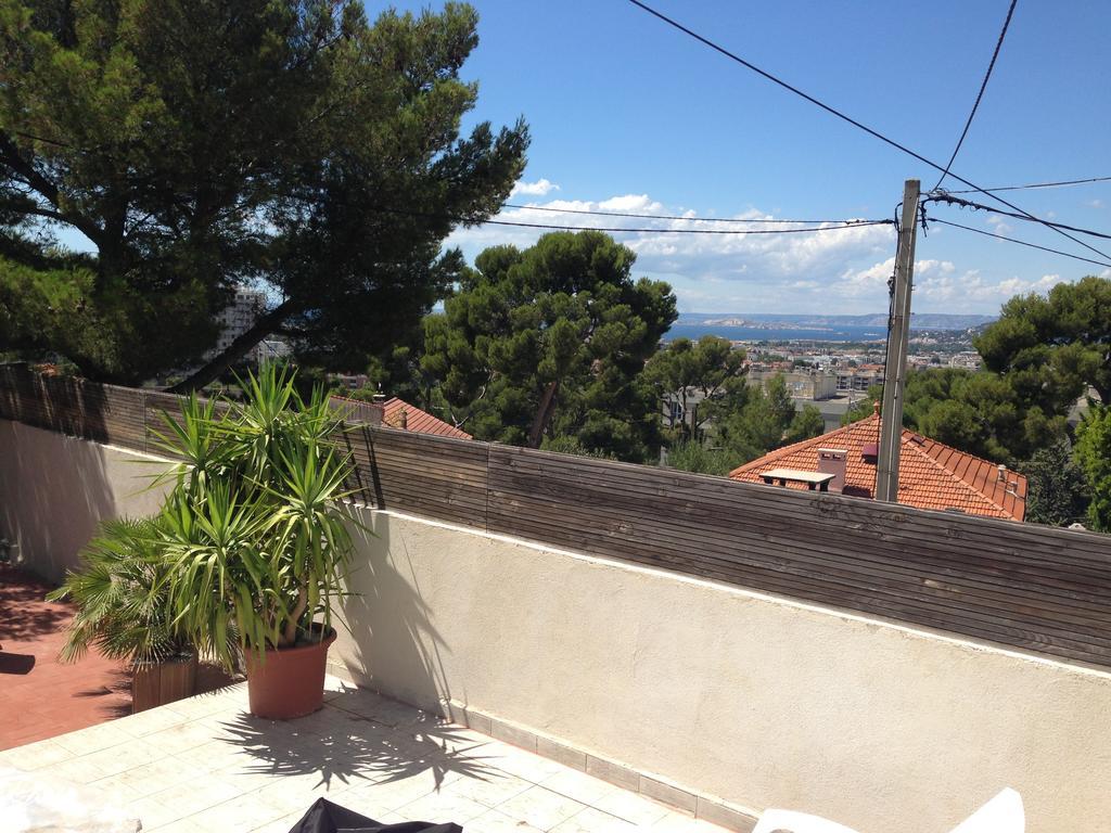 Polema Marseilles