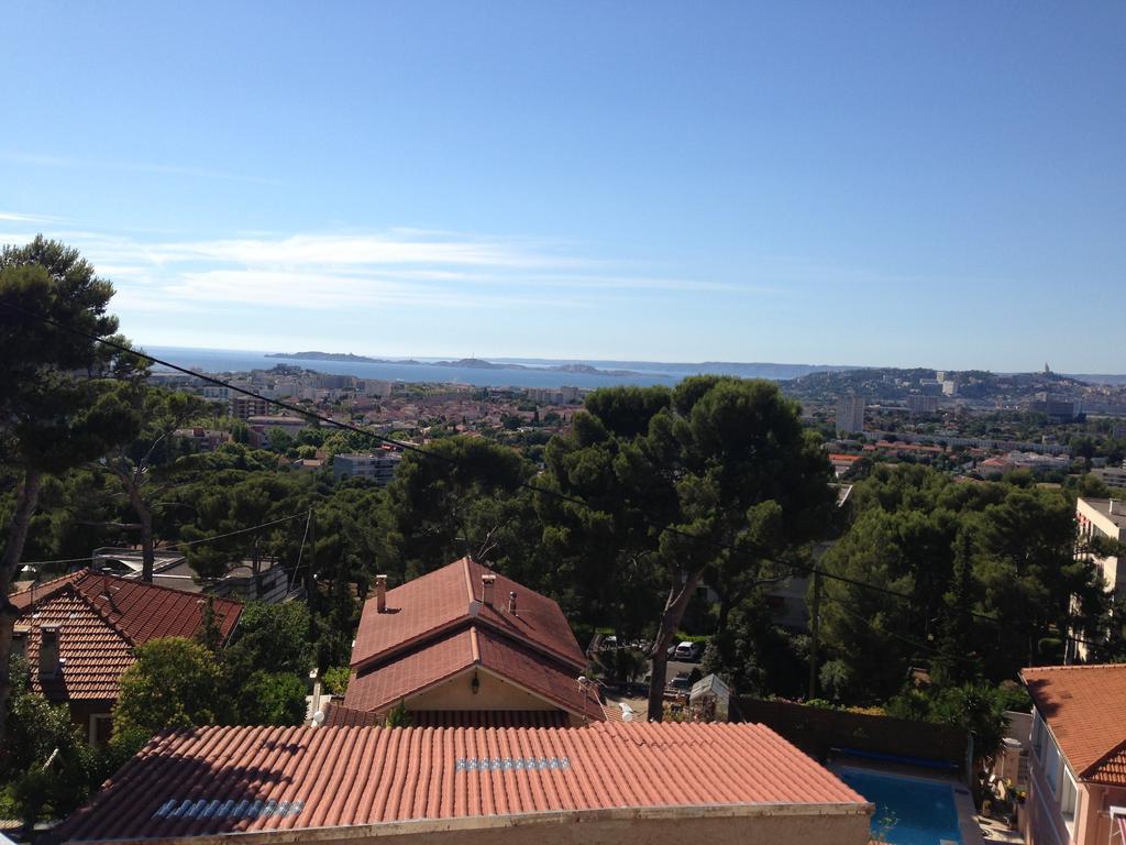 Polema Marseilles